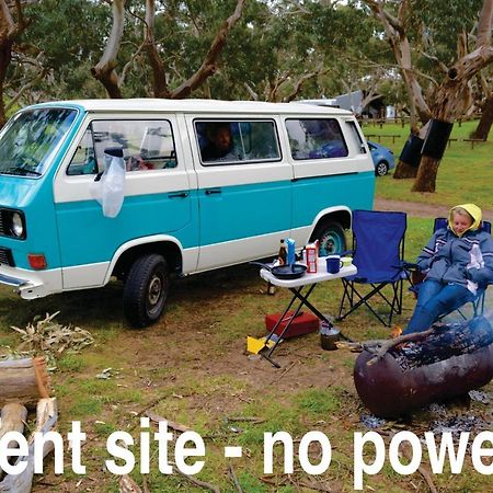 Bimbi Park - Camping Under Koalas Cape Otway Eksteriør bilde