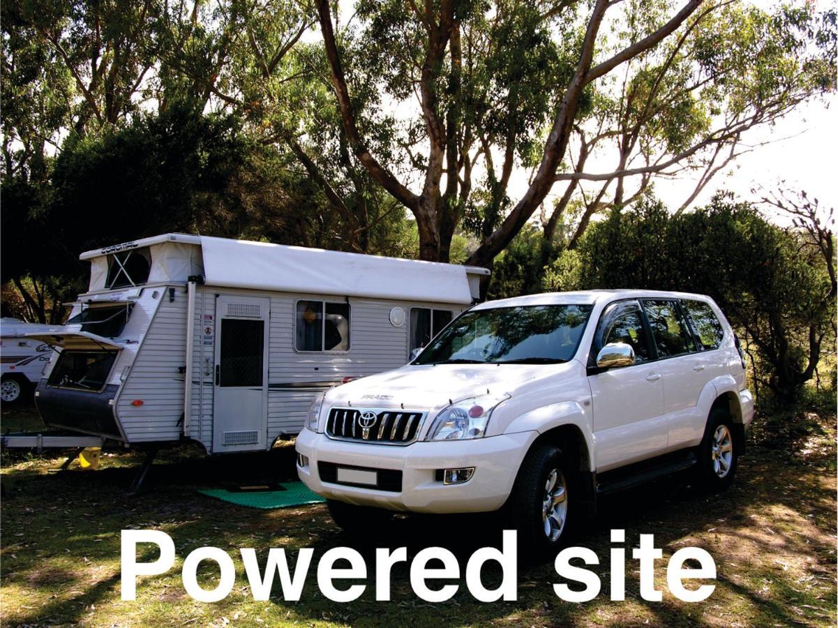 Bimbi Park - Camping Under Koalas Cape Otway Eksteriør bilde