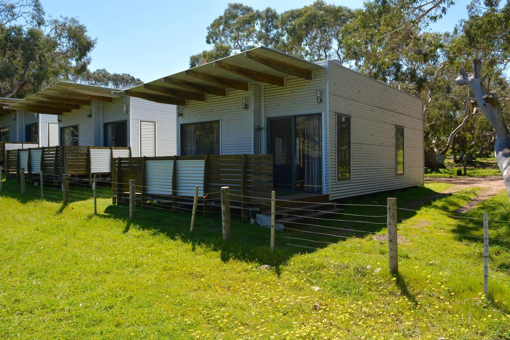 Bimbi Park - Camping Under Koalas Cape Otway Eksteriør bilde