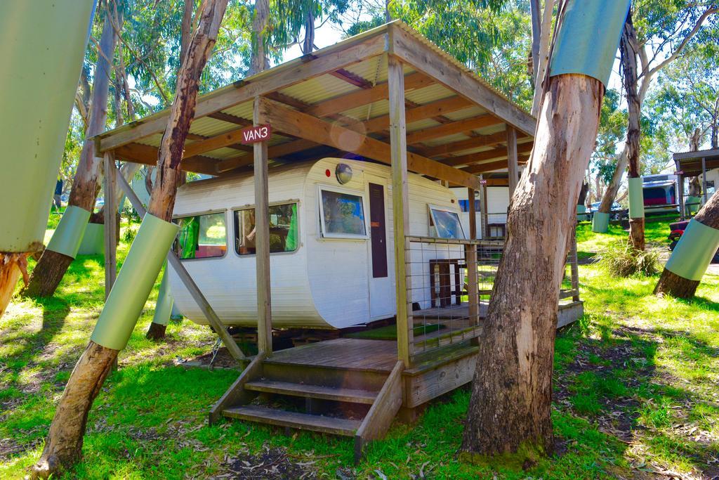 Bimbi Park - Camping Under Koalas Cape Otway Eksteriør bilde