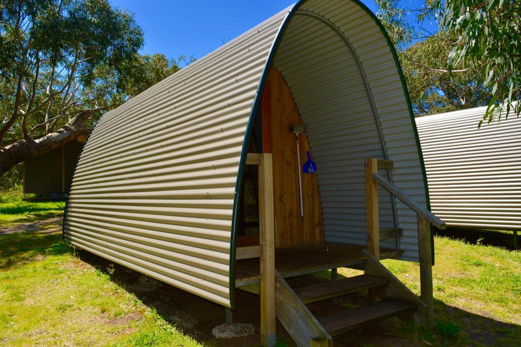 Bimbi Park - Camping Under Koalas Cape Otway Eksteriør bilde