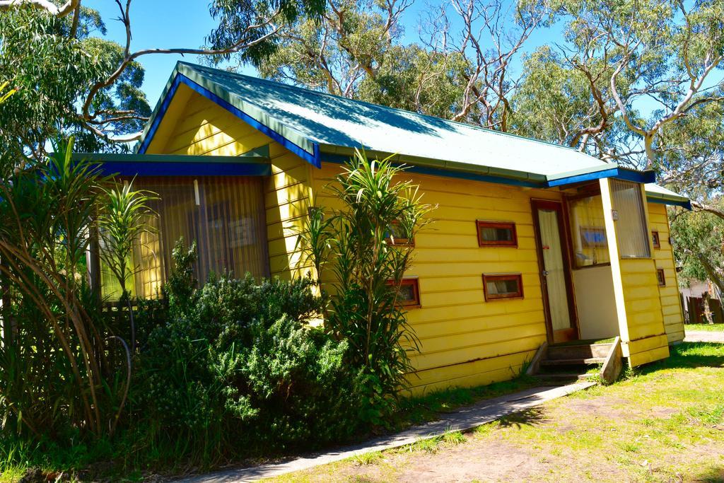 Bimbi Park - Camping Under Koalas Cape Otway Eksteriør bilde