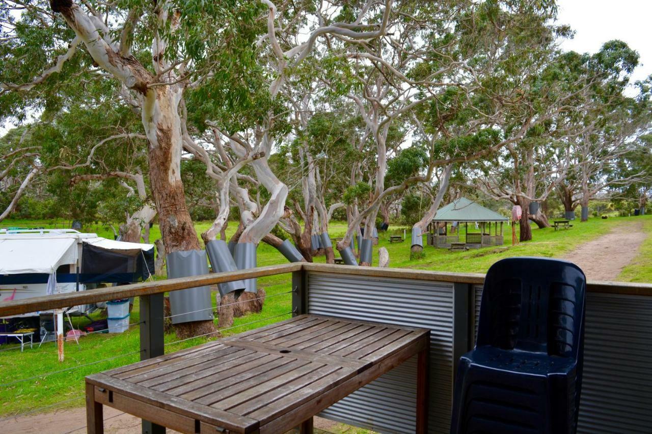 Bimbi Park - Camping Under Koalas Cape Otway Eksteriør bilde